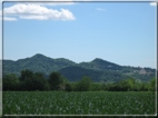 foto Colline tra Fonte Alto e Paderno del Grappa